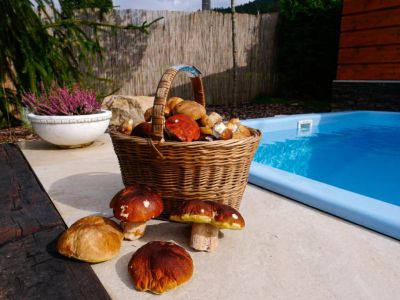 Chata pod Pustevnami