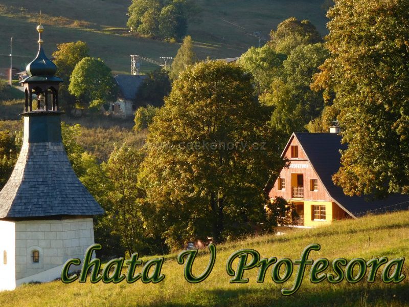 Chata U profesora