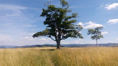 Roubená chata v Zašové