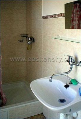 Chaty u rybníka Brodský