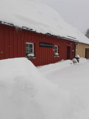 Chaloupka pod Kančí stezkou