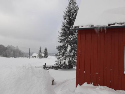 Chaloupka pod Kančí stezkou
