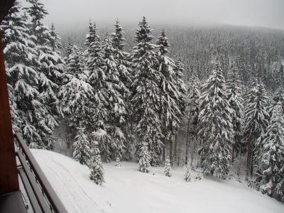 Apartmán Cihlářka 303