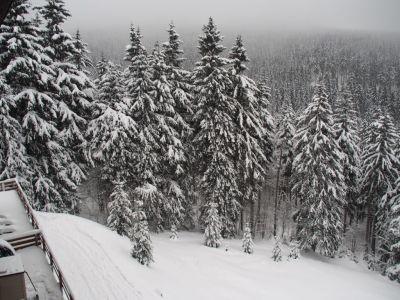 Apartmán Cihlářka 303