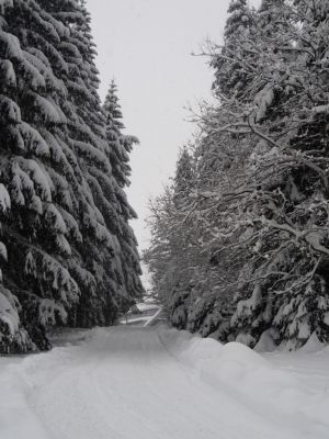 Apartmán Cihlářka 303