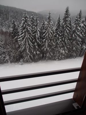 Apartmán Cihlářka 303