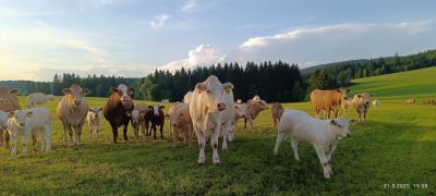 Horská chata Děvín