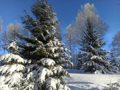 Horská chata Děvín
