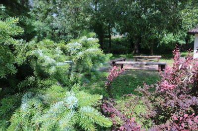 Apartmány Divoký Anděl