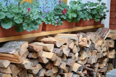 Apartmány Divoký Anděl