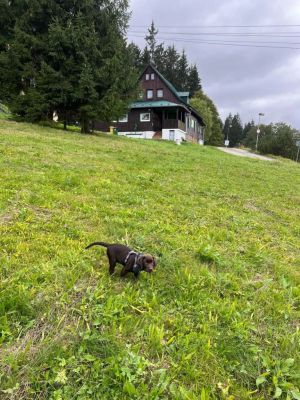 Horská chata Doroťanka