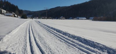 Dřevěnice v Brodské