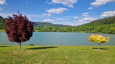 Dřevěnice v Brodské