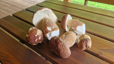 Dřevěnice v Brodské