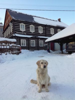 Dřevěnka Bozkov - kulturní památka