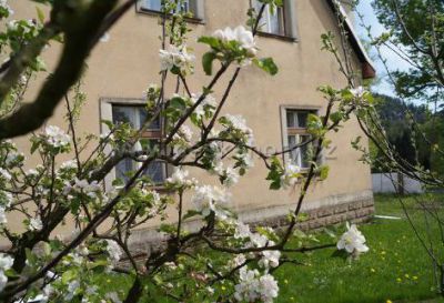 Dům Skály Adršpach