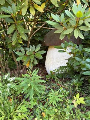 Apartmány - U Dvořáků