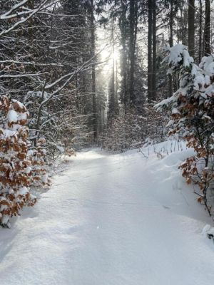 Apartmány - U Dvořáků