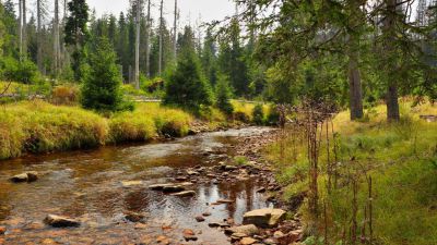 Dvůr Lískový vrch