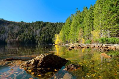 Dvůr Lískový vrch