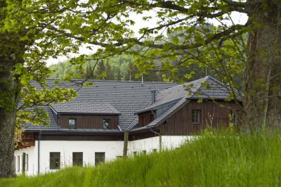 Dvůr Lískový vrch