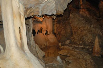 EFI ApartHotel Horní Lipová