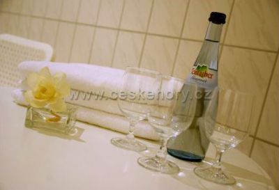 Eisensteiner Hof (Železnorudský dvůr)