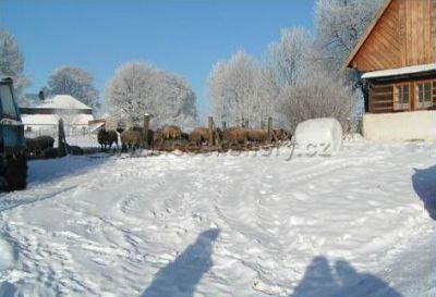 Eliščin dvůr - penzion