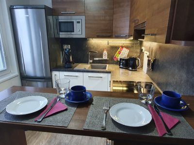 Family apartmán Kovářská