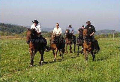 Farma Třebušín - Zababeč