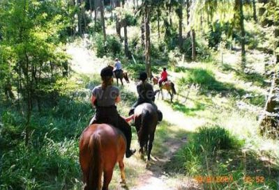 Farma Třebušín - Zababeč