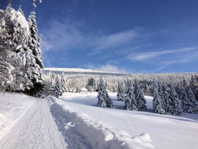 *** Horský hotel Flora
