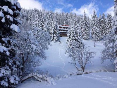 *** Horský hotel Flora