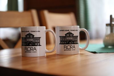 Penzion Flóra - Janské Lázně