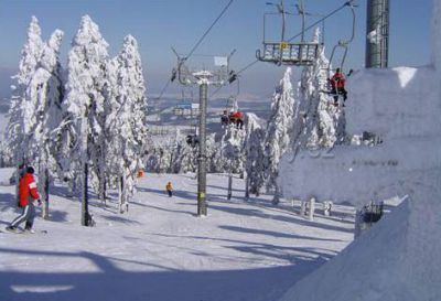 Prázdninový dům Forest