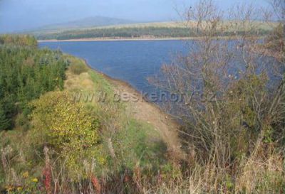 Prázdninový dům Forest