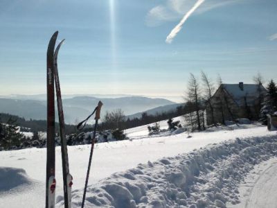 Prázdninový dům Forest