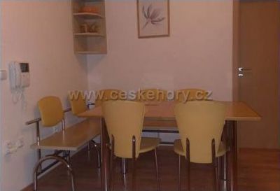 Apartmán Horní Lipová