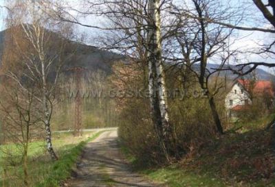 Čtyři roční období