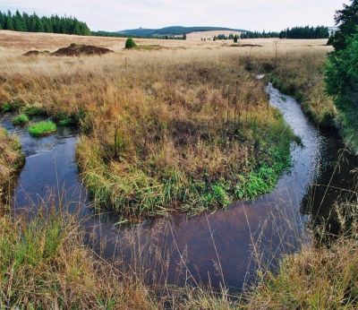 Apartmány Fox Boží Dar