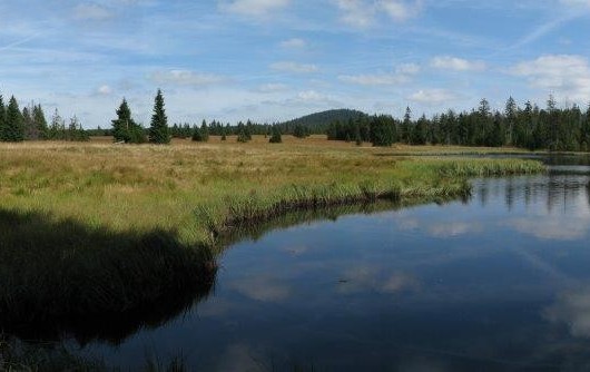 Apartmány Fox Boží Dar