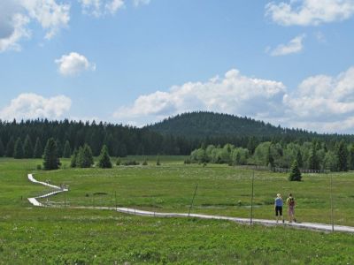 Apartmány Fox Boží Dar