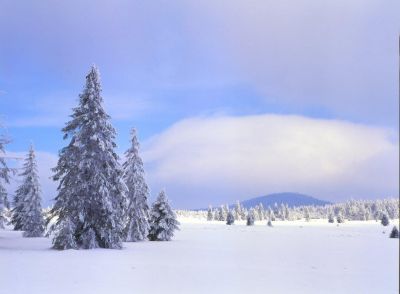 Apartmány Fox Boží Dar