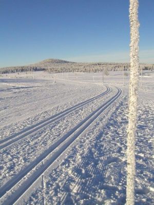Apartmány Fox Boží Dar