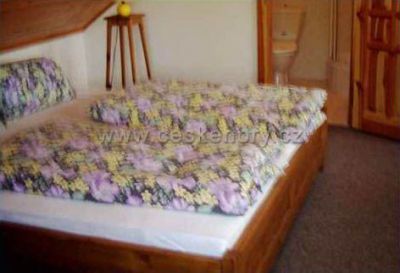 Pension Fridrichová Dagmar