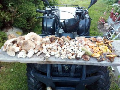 Ubytování Fuchs Tejmlov