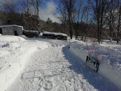 Ubytování Fuchs Tejmlov