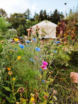 Yurt Glamping Čihadlo