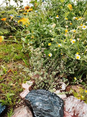 Yurt Glamping Čihadlo