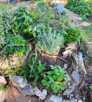 Yurt Glamping Čihadlo